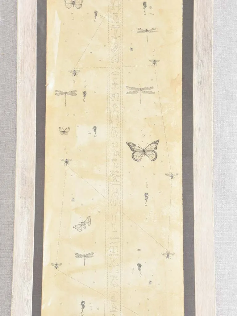 2 Andrea Collesano drawings - rhinoceros & elephant 47¾" x 14¼"