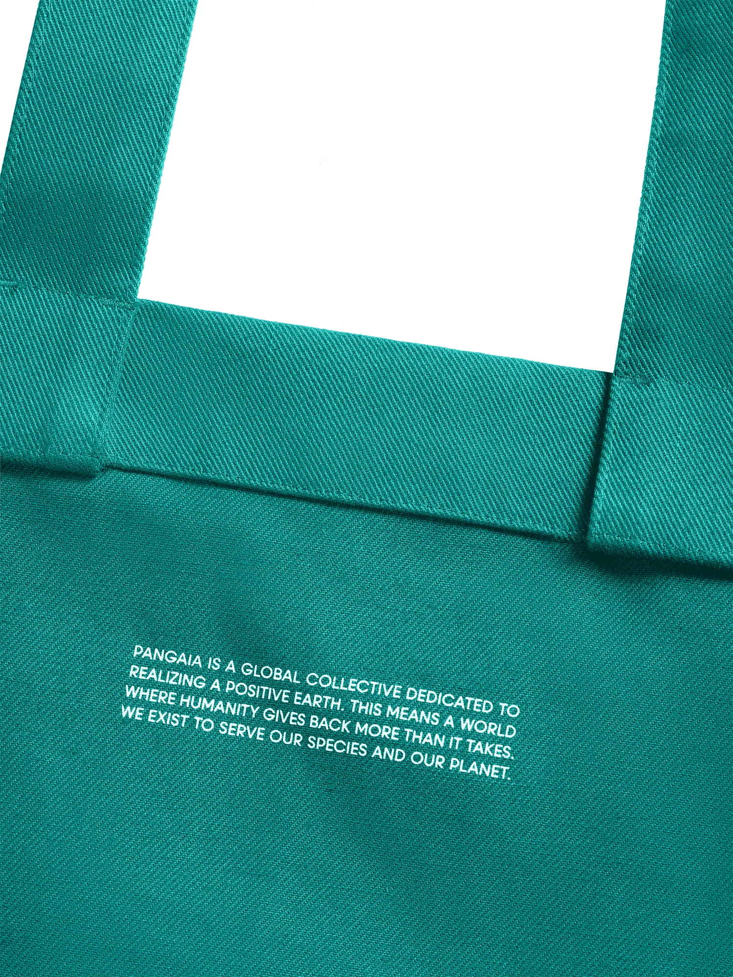 365 Oversized Tote Bag—scarab teal