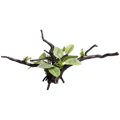 Aqua One Ecoscape Driftwood Green Calathea
