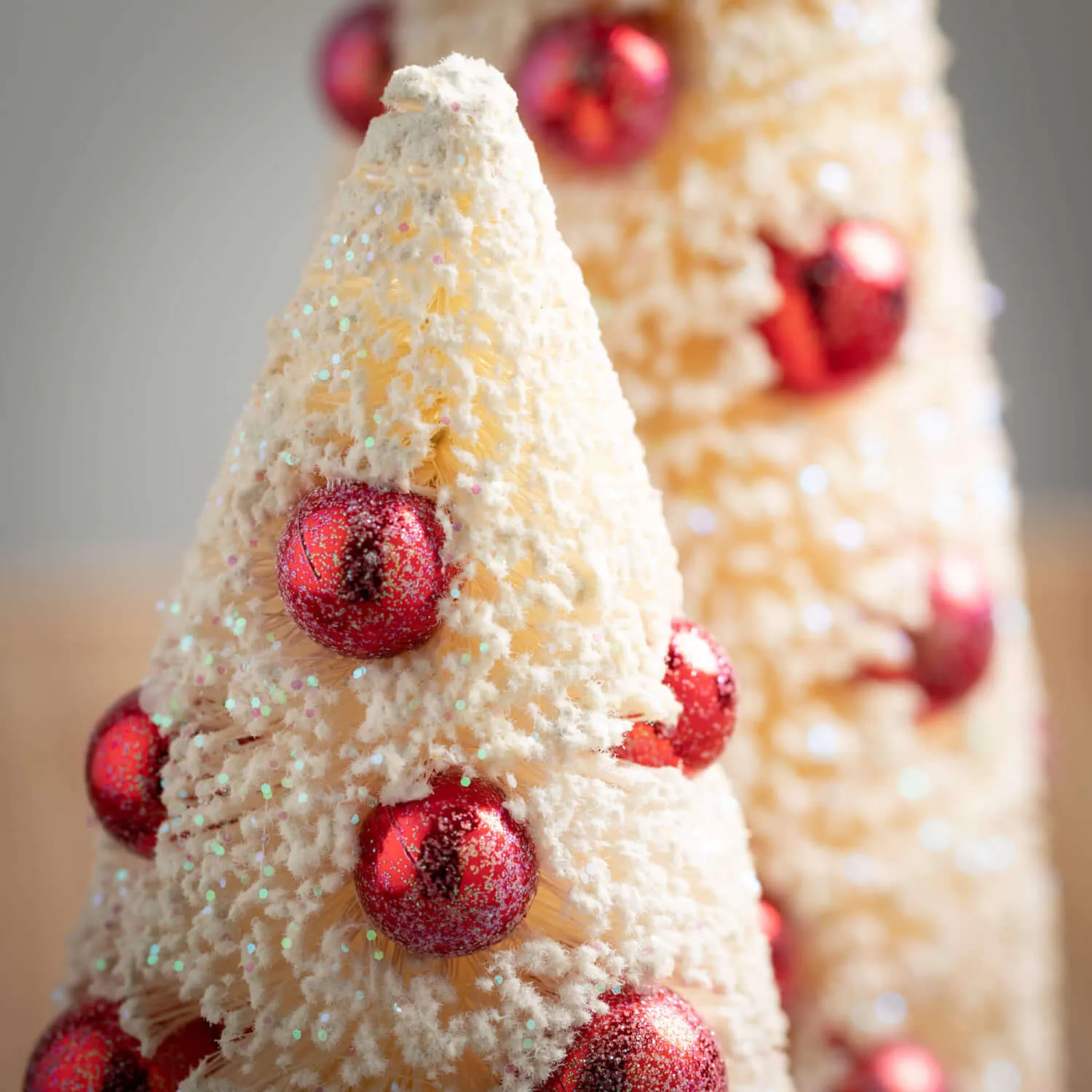 Bottle Brush Tree Set Of 2