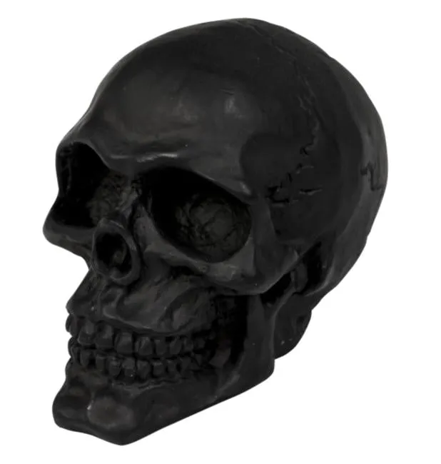 Cracked Skull Ornamental Statue for Fenders or Bonnet Mascot - Black - Highway Hawk H02-086B