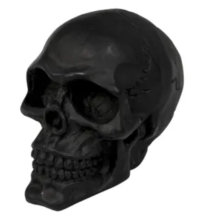 Cracked Skull Ornamental Statue for Fenders or Bonnet Mascot - Black - Highway Hawk H02-086B