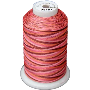 Exquisite Medley Variegated Thread - Summer Berries 5000M V5107
