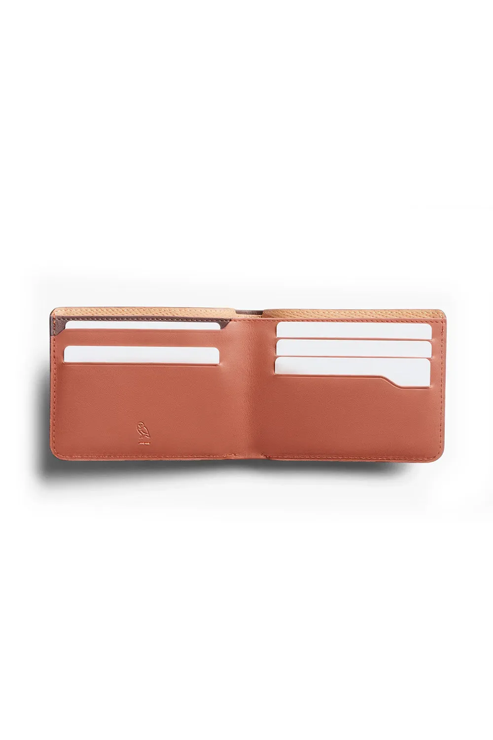 HIDE & SEEK LO PREMIUM Aragon