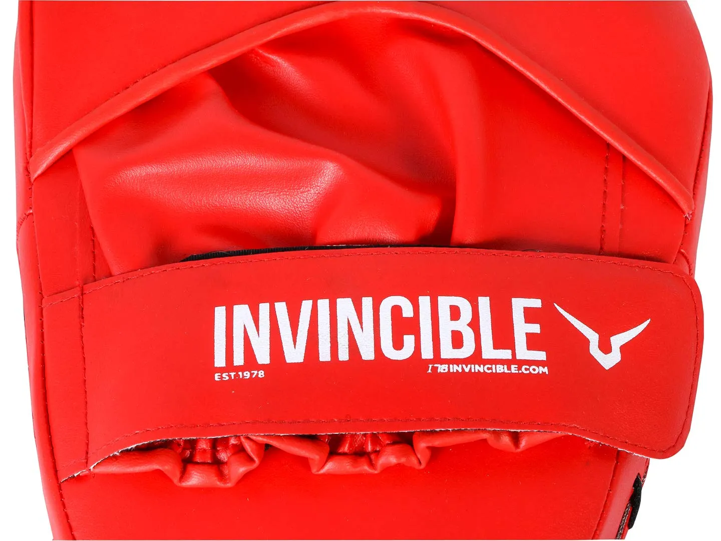 Invincible Classic Training Mitts