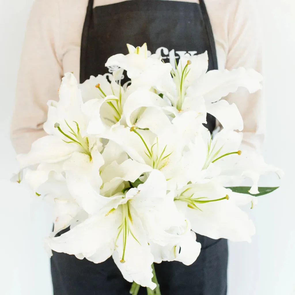 Ivory Oriental Lily