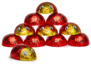 Ladybugs (Box of 20)