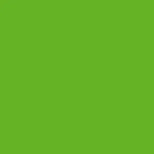 Light Green Ukrainian Egg Dye