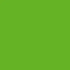 Light Green Ukrainian Egg Dye