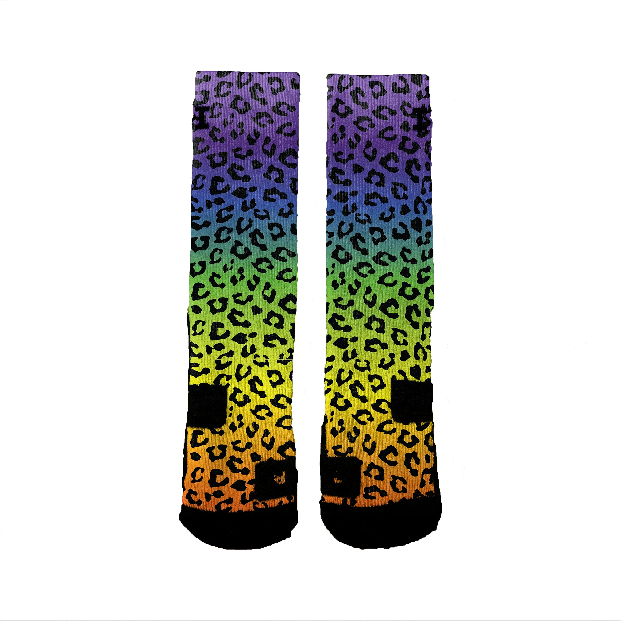 Rainbow Cheetah