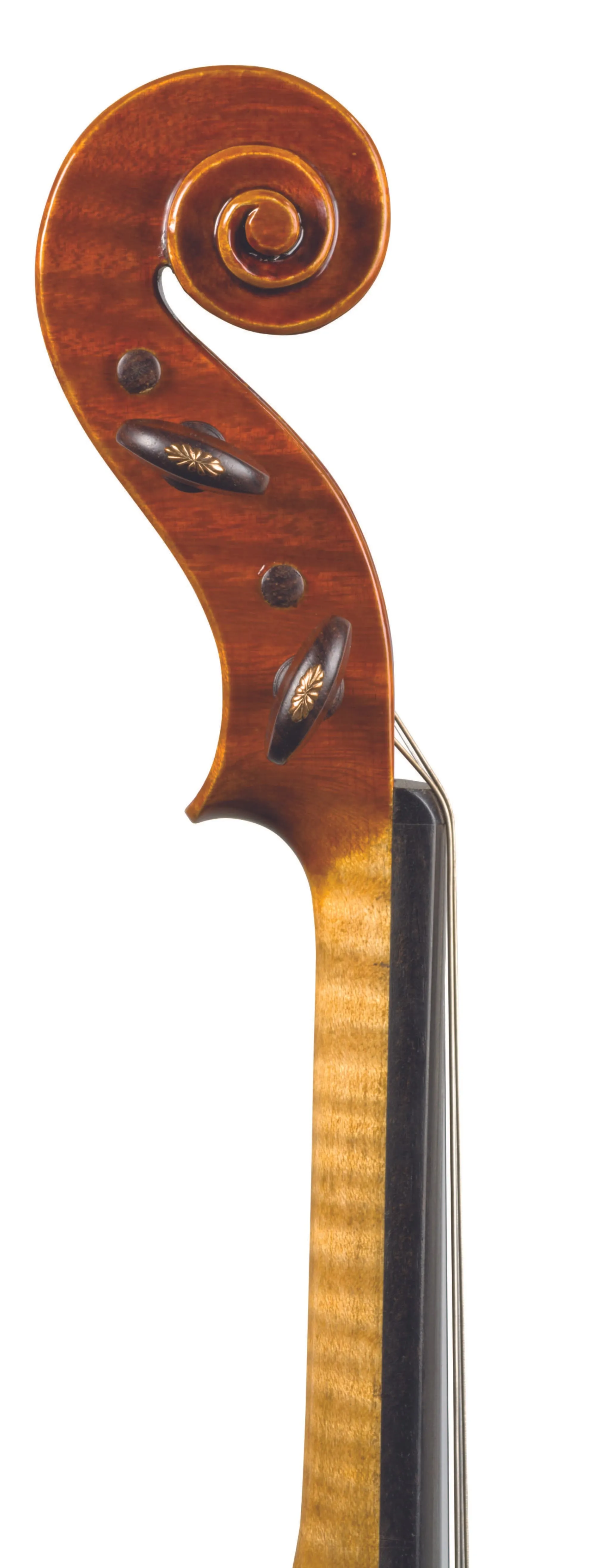 Scrollavezza & Zanre 'Mantegna' Violin, Parma 2013