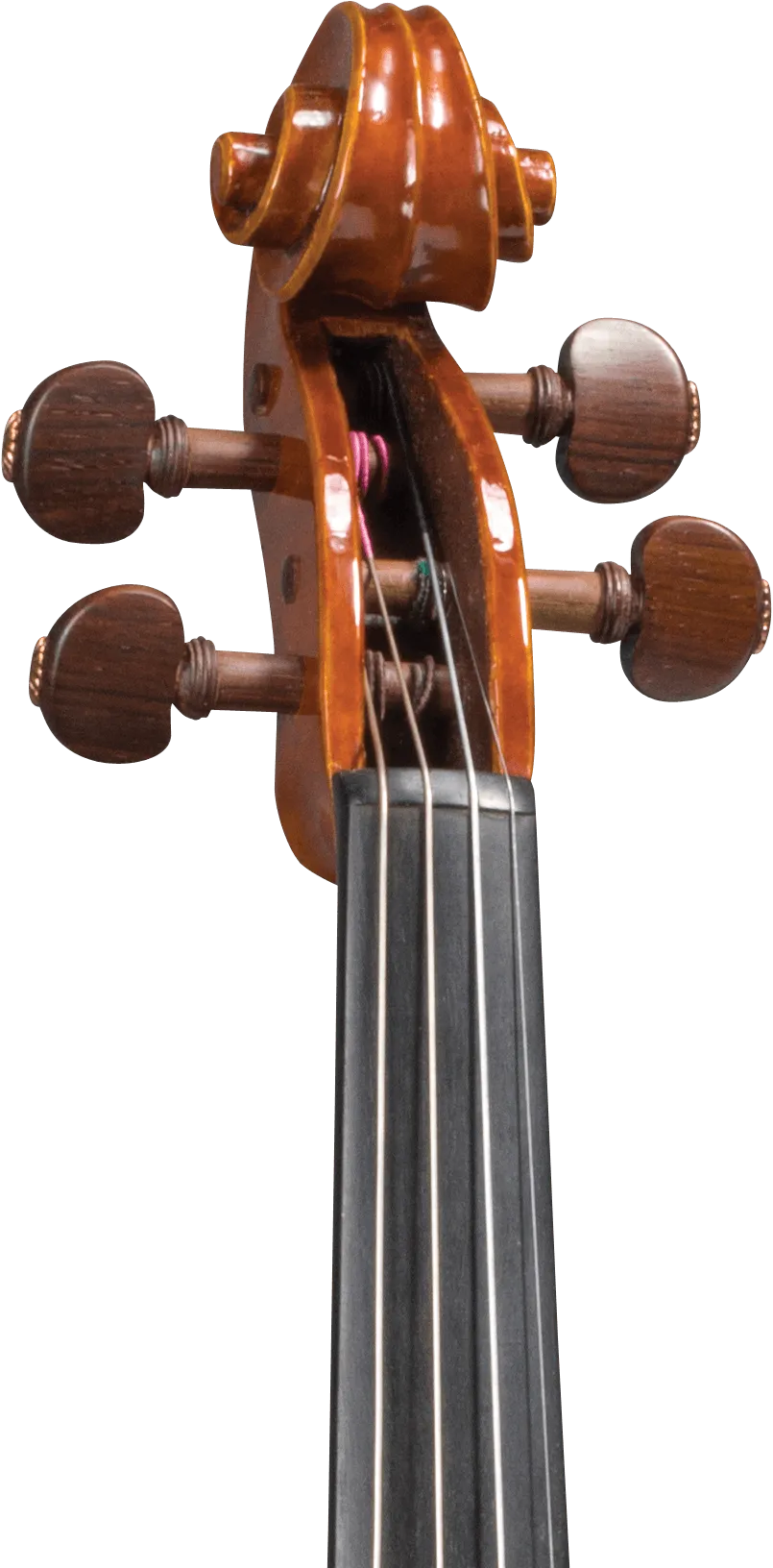 Scrollavezza & Zanre 'Mantegna' Violin, Parma 2013