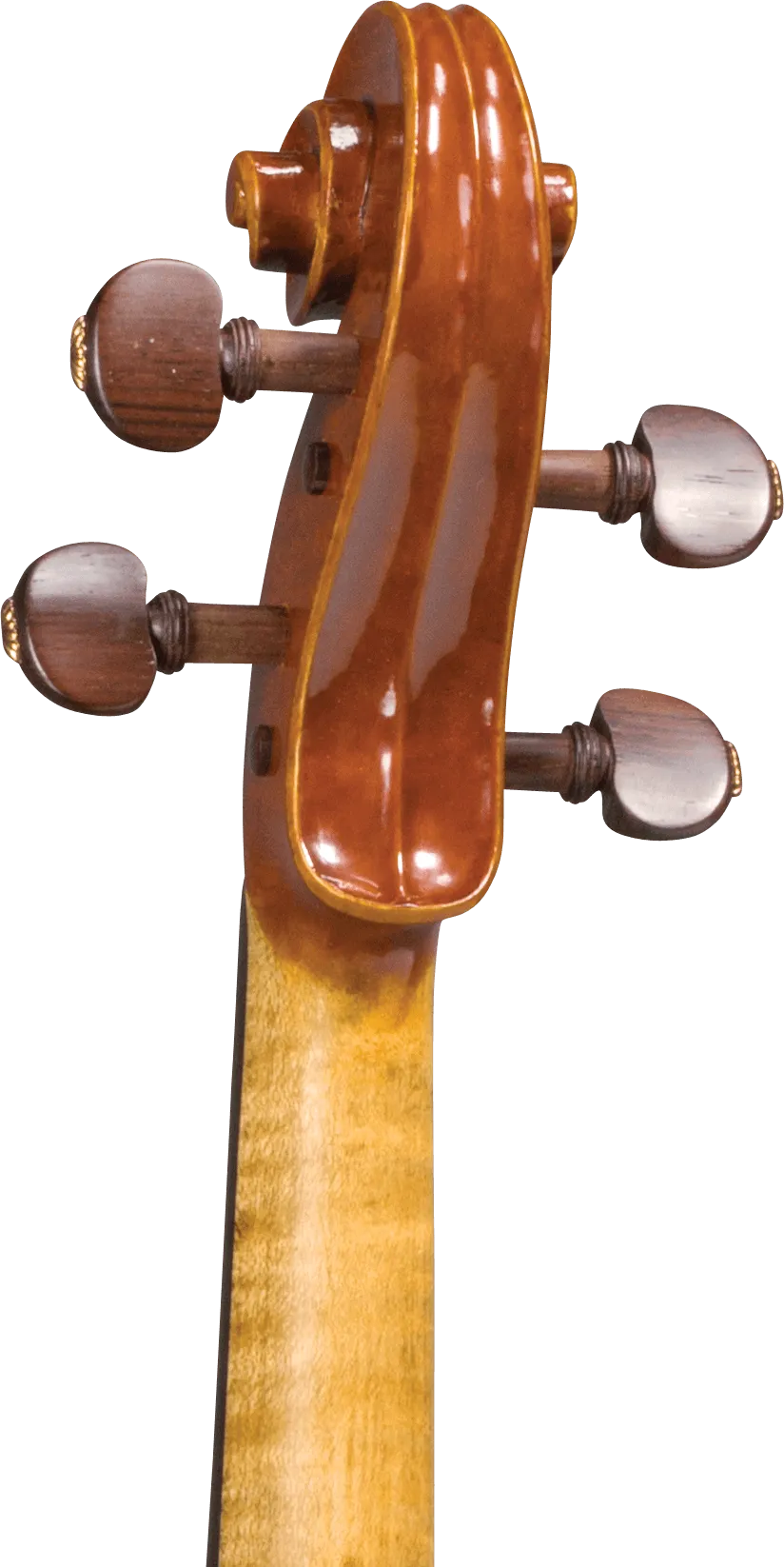 Scrollavezza & Zanre 'Mantegna' Violin, Parma 2013