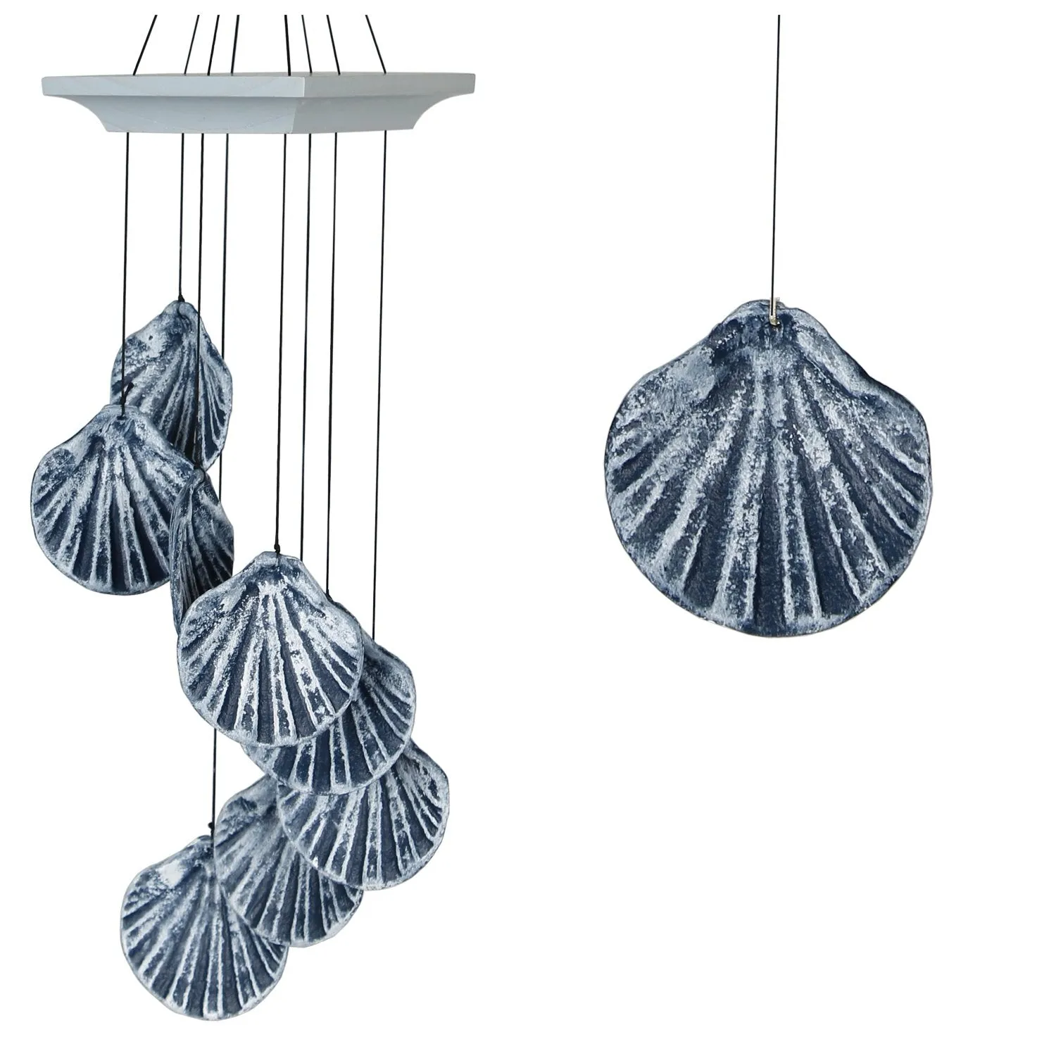 Seashore Spiral - Scallop