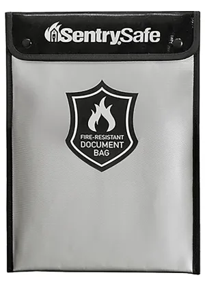 Sentry Safe FBWLZ0 Document Bag, 0.1 cu-ft Capacity, 15 in H x 11 in W x 1-1/2 in D Exterior, Yes, Zipper, Snap Lock :EA: QUANTITY: 1