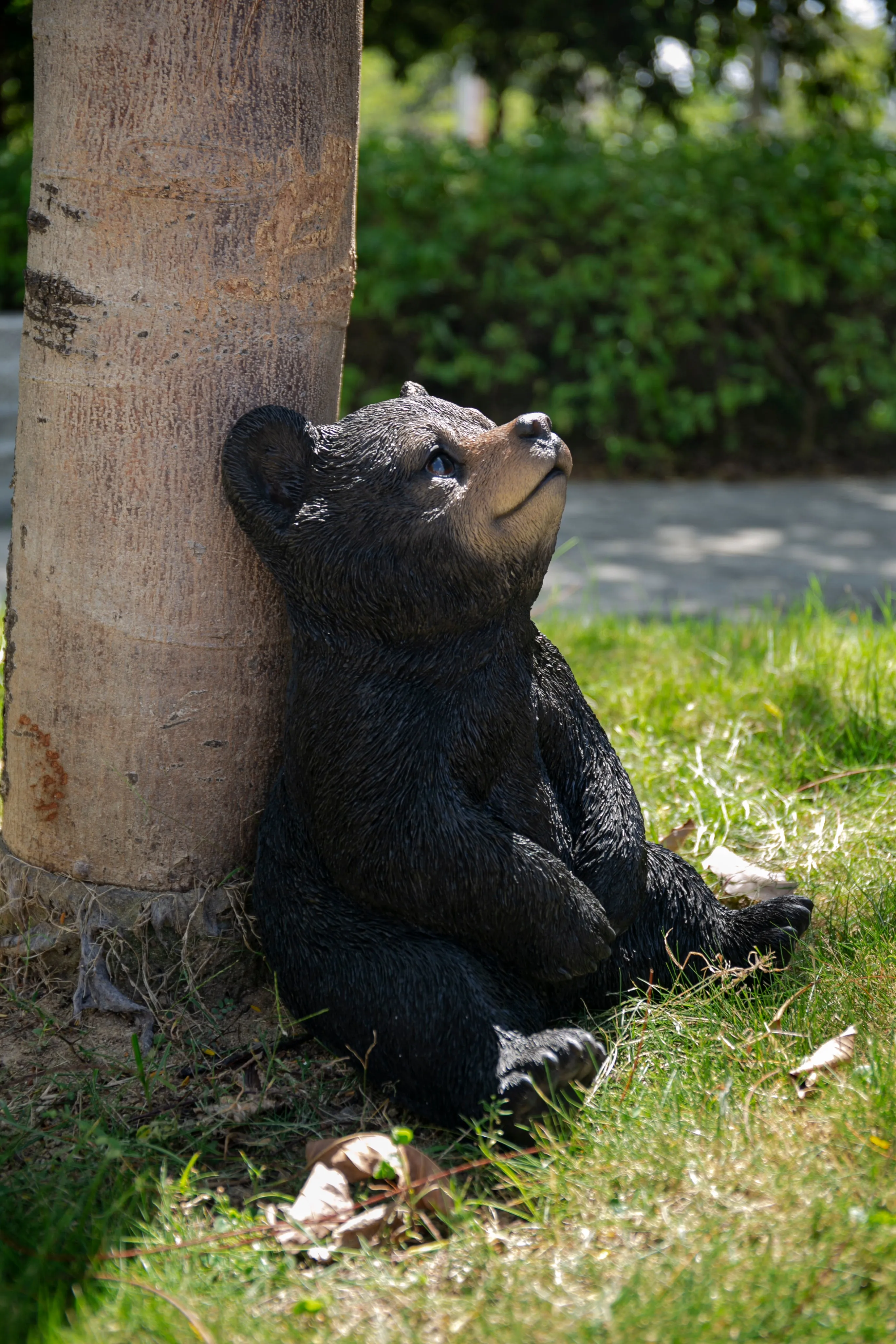 Sitting Black Bear Cub With Head Up