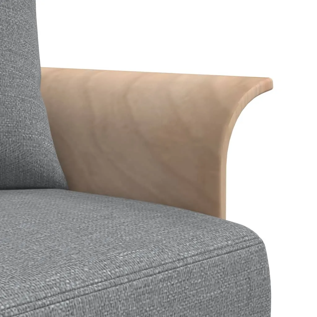 Sofa Bed Sleeper Sofa Settee Pull Out Couch for Living Room Fabric