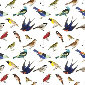 Songbirds Gift Wrap